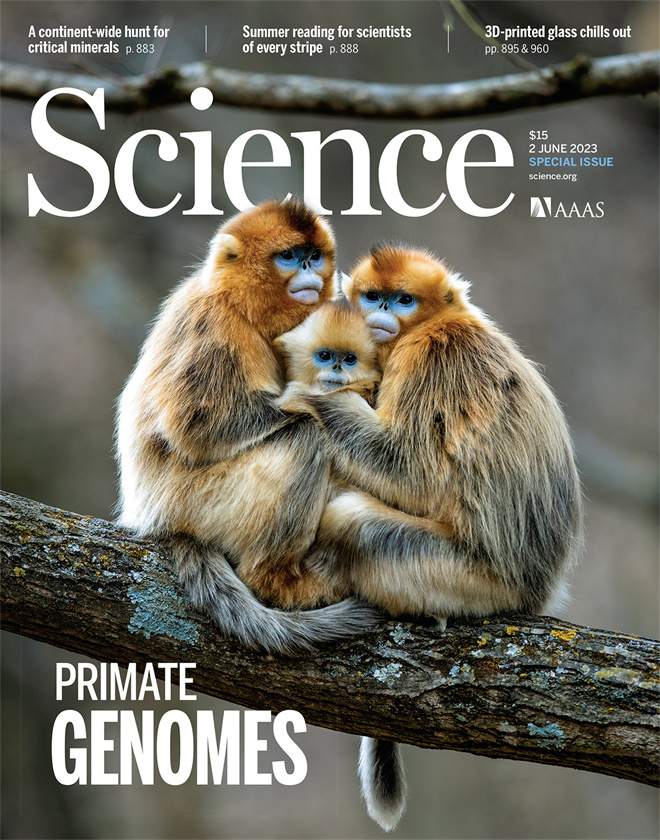 Science封面文章:437ccm·必赢国际金丝猴研究团队首次系统揭示灵长类社会演化之谜_fororder_《自然》封面.JPG